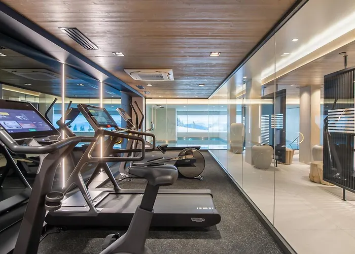 Familial Avec Espace Wellness - Fr-1-569-56